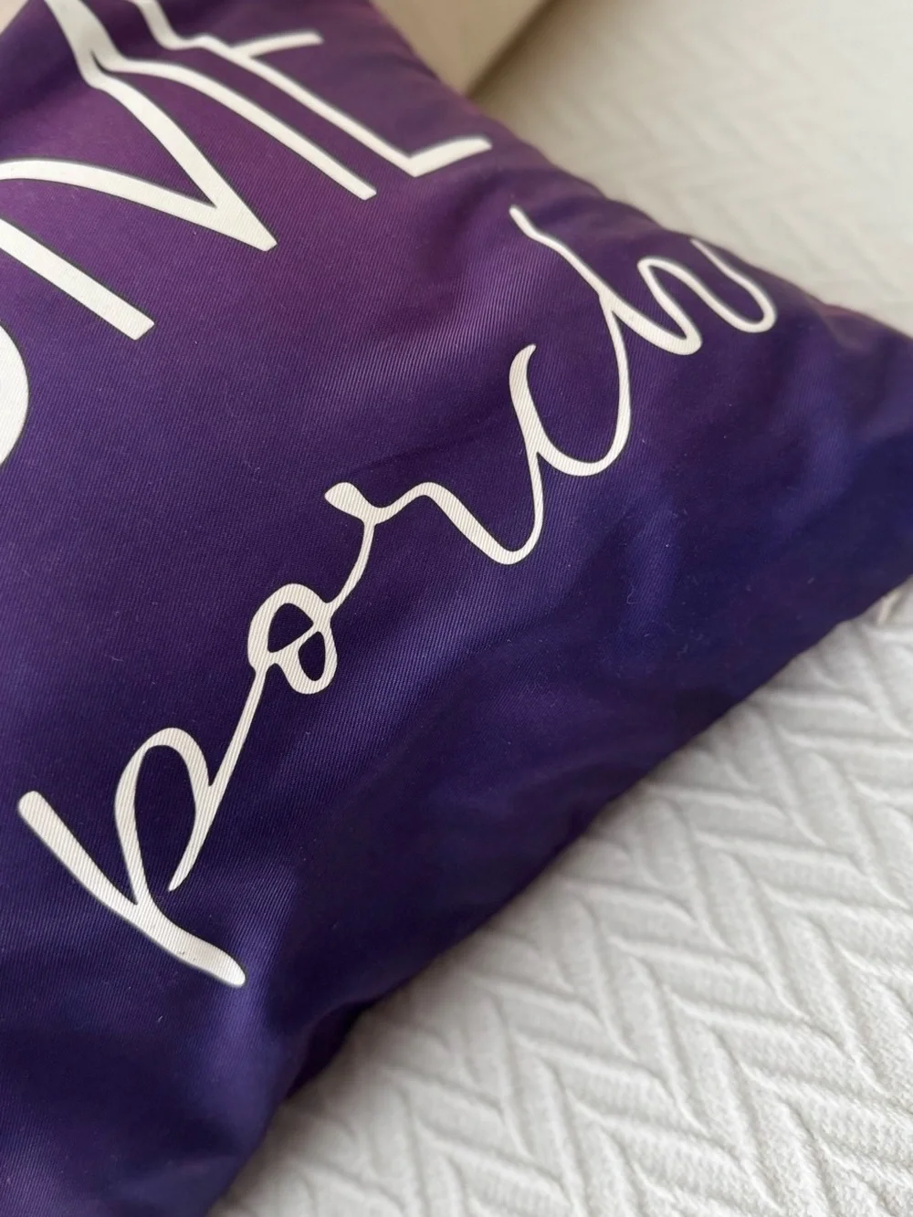 SET OF 2 ‘Welcome to Our Porch’ 20” Navy Blue & White Outdoor Pillows & Covers